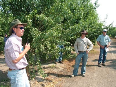 Academic advisors Brent Holtz, David Doll, and Walt Bentley discussing almond cropping systems and IPM at a Fresno County Almond Pest Management Alliance demonstration orchard in 2008.