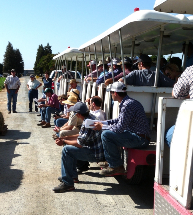 Forage and Alfalfa Day attendees visiting research plots at Kearney. (photo by P Cavanaugh)
