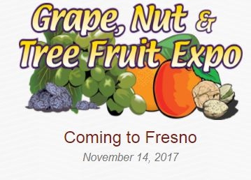grape and nut expo logo