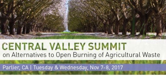 Snapshot of the Central Valley Summit website.