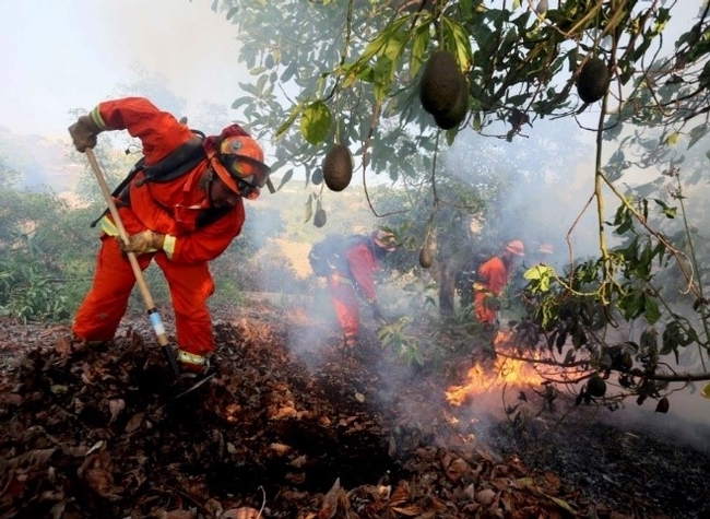 An inmate firefighter crew battles a fire in an avocado grove outside Fallbrook, Calif., May 14, 2014. (Photo: Sandy Huffaker)