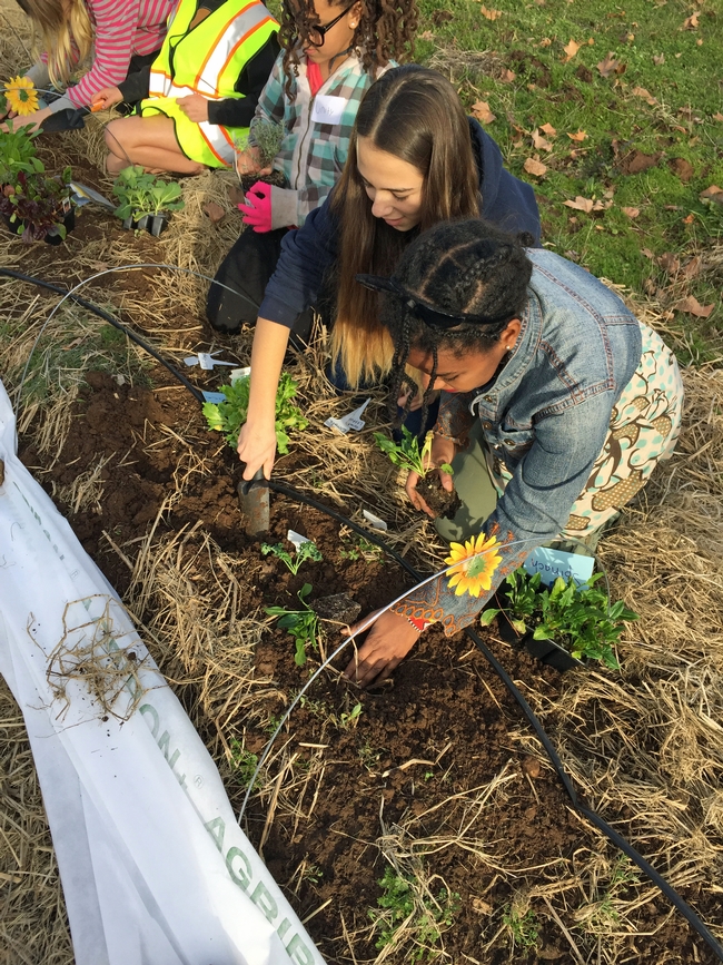 The Shaping Healthy Choices Program features the use of garden-enhanced learning.