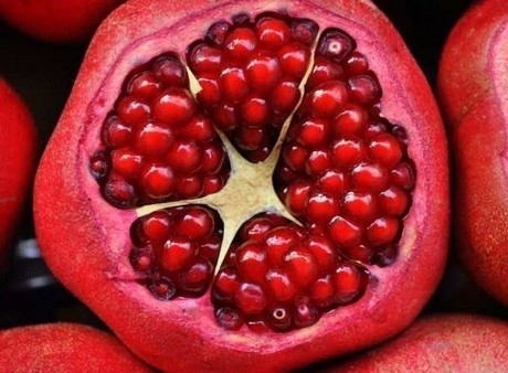 Pomegranate.