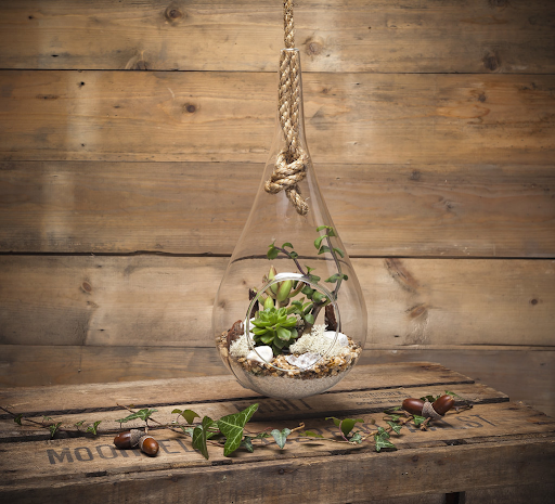 Hanging small glass terrarium against wood background.