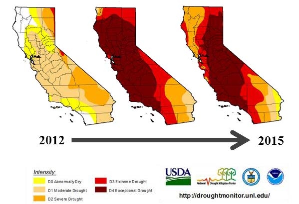 Drought Impact Map
