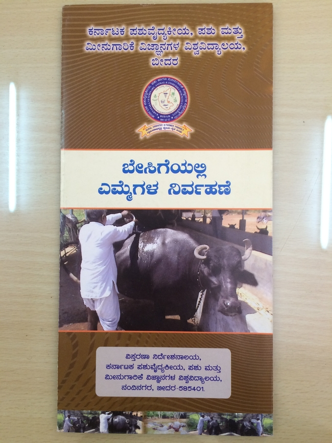 Extension brochure in local language describing how to manage water buffalo in summer.