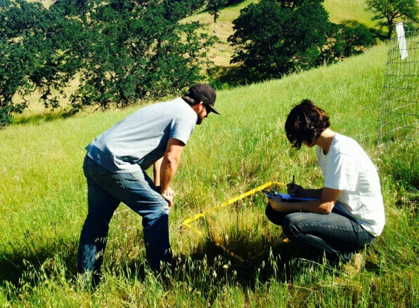 Elise GrasslandRestoration