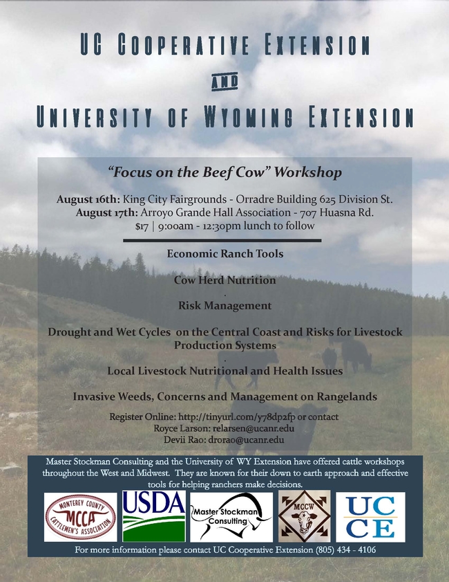 Focus on the Beef Cow Flyer - PDF