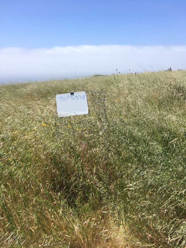 Santa Cruz County site with high forage production.