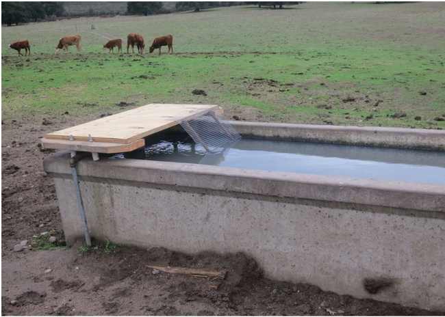 Wildlife ramp designed by Peterson Land & Cattle Company.