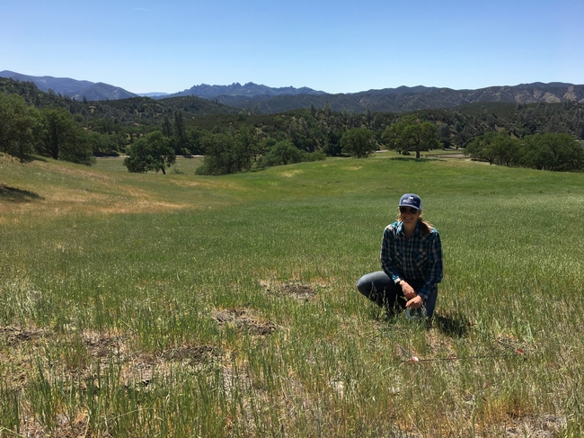 Figure 1. Liz Reikowski at a grazed plot.