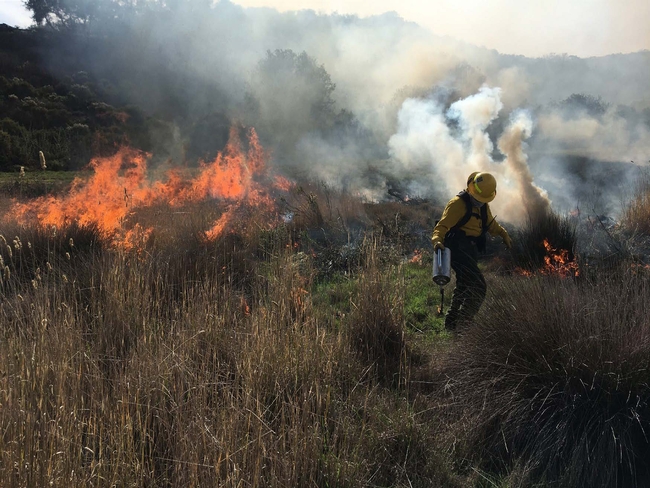 April 2 3rd  Prescribed firelighter and wildland firefighter training (FFT2)
