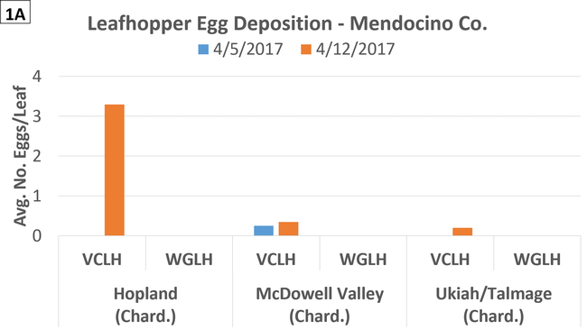 Eggs - Mendo - Apr 5-12 - large large