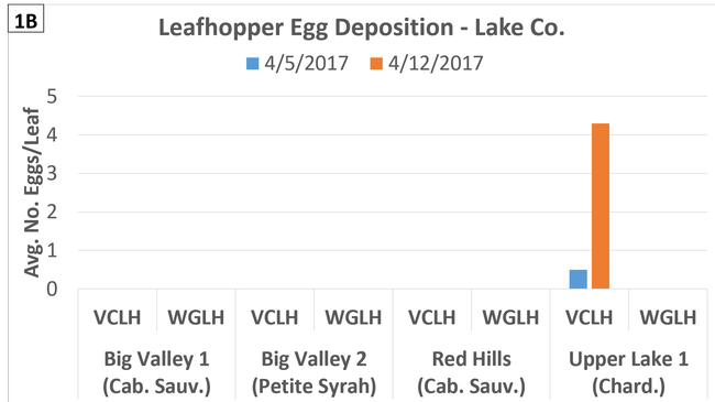 Eggs - Lake - Apr 5-12 - large large