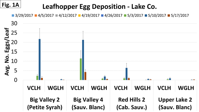 Lake - Eggs - May 17