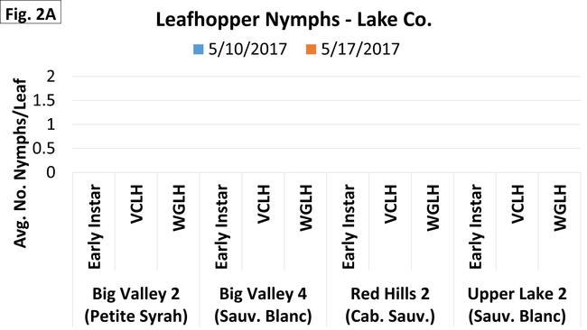 Lake - Nymphs - May 17
