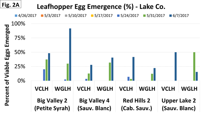 Emerge - Lake - June 7