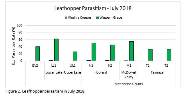 Leafhopper Parasitism July 2018