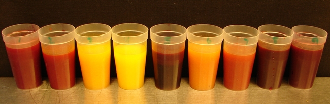 Blood orange juice  -- photo by Rock Christiano