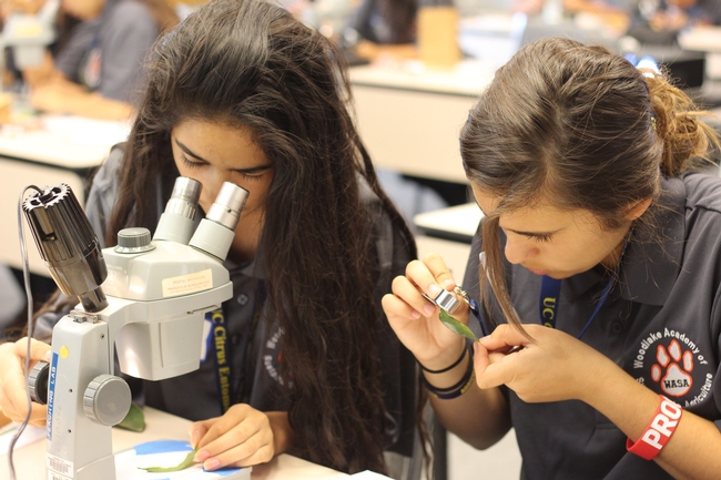 Natural Resources students study insects