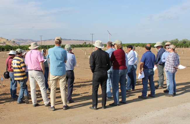 The Walnut and Almond Farm Advisor Training tour gathers around the new walnut rootstock observation trail at LREC