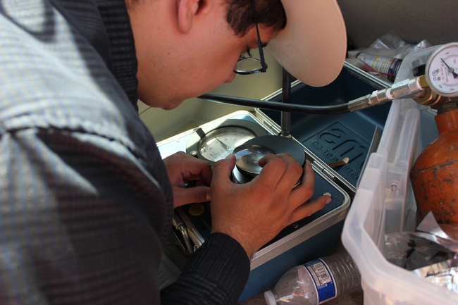 Hector Facundo uses a pressure chamber to collect readings of midday stem water potential in young walnut trees.
