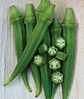 Okra