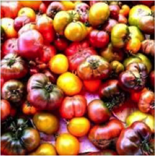 What's the Difference? Open-Pollinated, Heirloom & Hybrid Seeds — Seed  Savers Exchange Blog