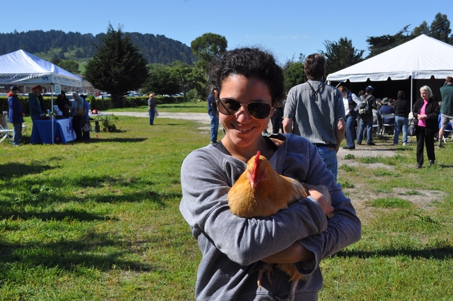 A personable Buff Orpington at the 2016 Smart Gardening Fair.