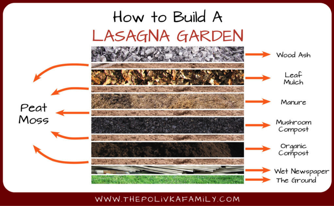 Lasanga garden layers illustrated.