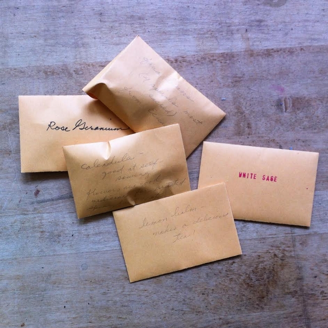 Seeds saved in paper envelopes to share with others. Photo © Melody Overstreet.
