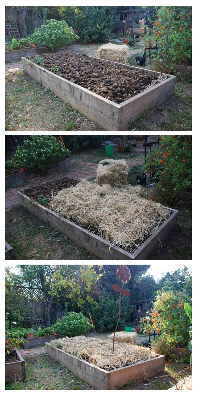 A composted planting bed.