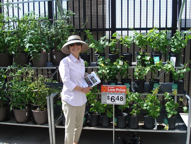 Woman with clipboard standing in front of a row of plants at a local nursery.