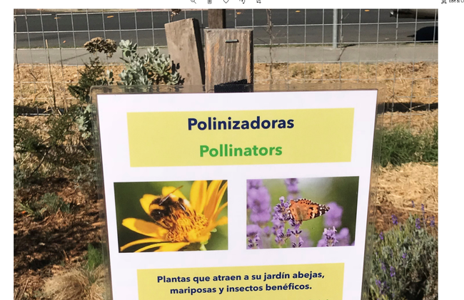 Flyer on a post that reads Pilinzadoras and Pollinars with bees and butterfly images.
