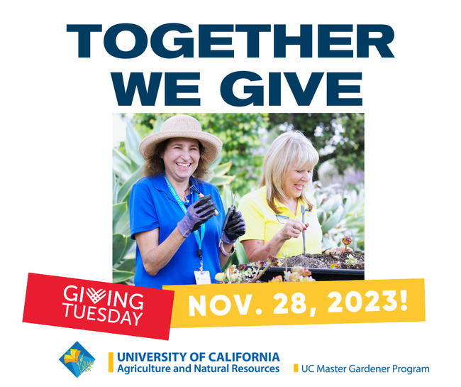 #GiveBack to Grow Forward with UC Master Gardeners on Giving Tuesday!