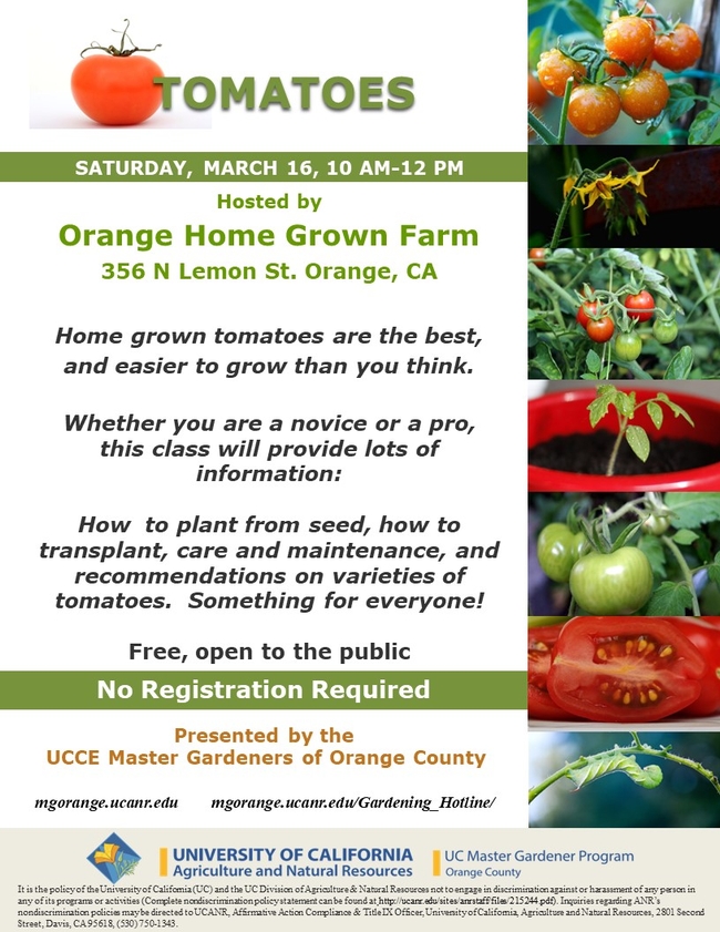 Unlock the Secrets to Perfect Homegrown Tomatoes.  Plan To Join Us.