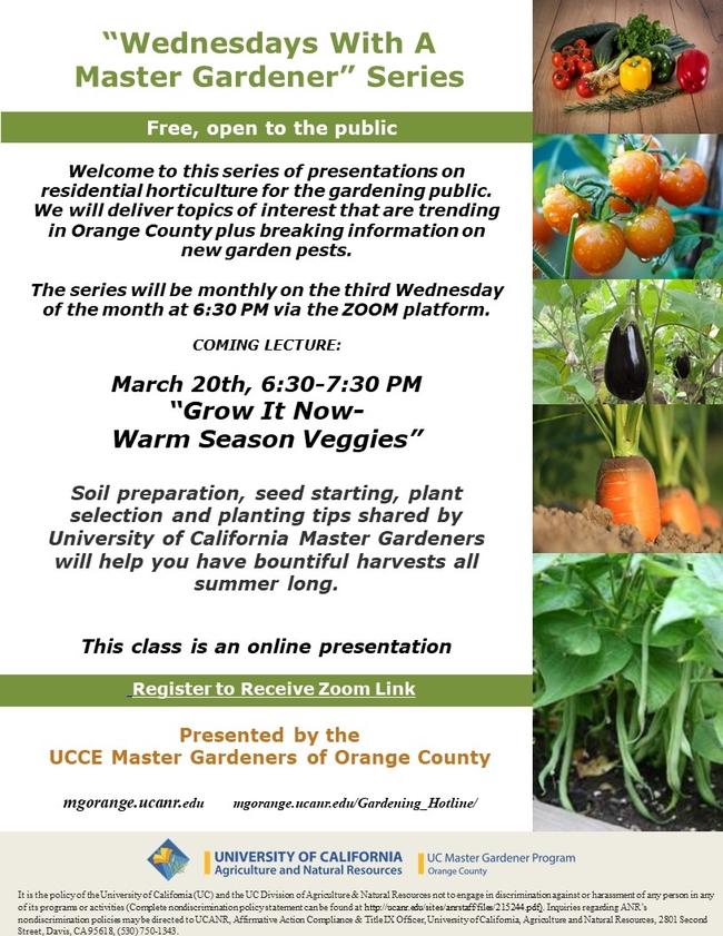 Don't Miss Out! Join Our Exclusive Monthly Lecture Series on Trending Topics in Orange County!