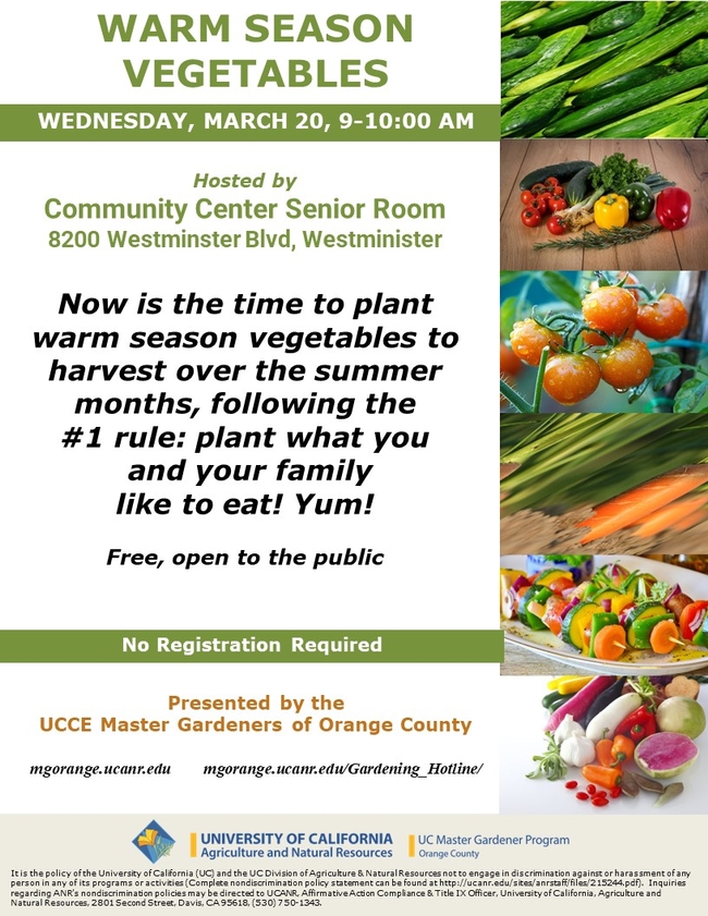 Get Ready for Summer Harvests: Join Our Warm Season Vegetables Workshop
