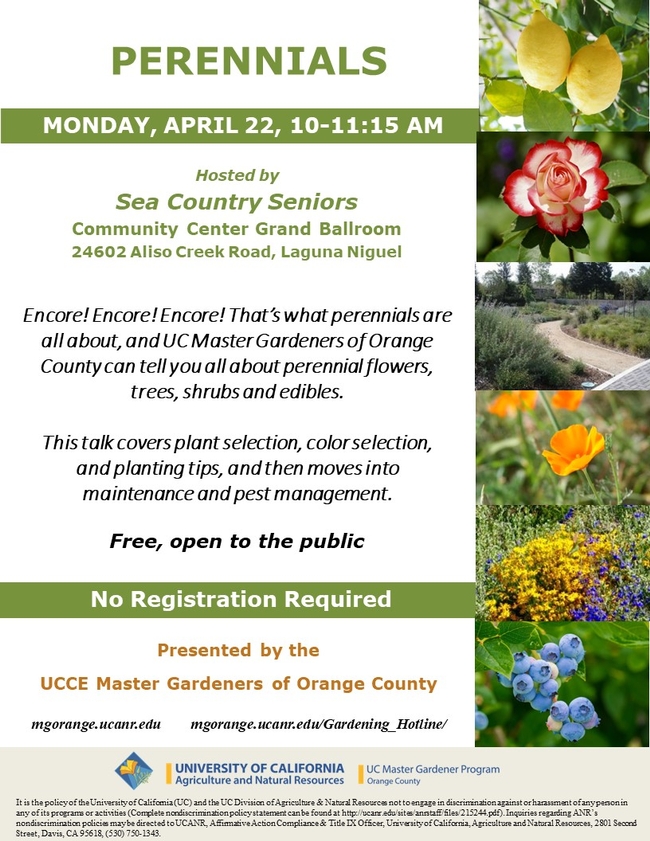Perennial Paradise Awaits! Join Us for Insights on Selection, Colors & Care with UC Master Gardeners.