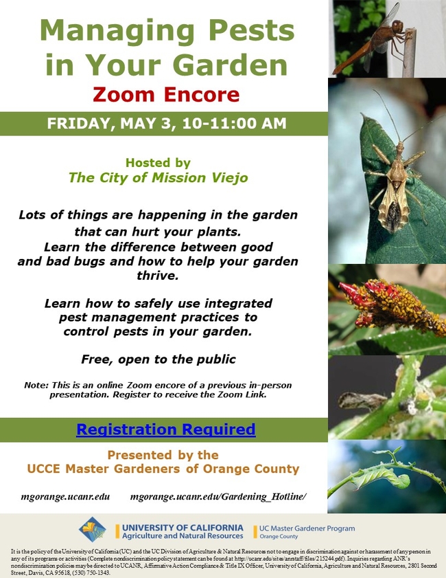 Master Your Garden: Join Our Zoom Encore on Managing Pests! Reserve Your Spot Now.