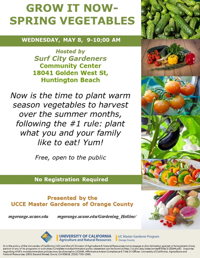Spring into Action: Grow Your Own Bounty! Plant now for a summer harvest. Join us for tips and tricks!