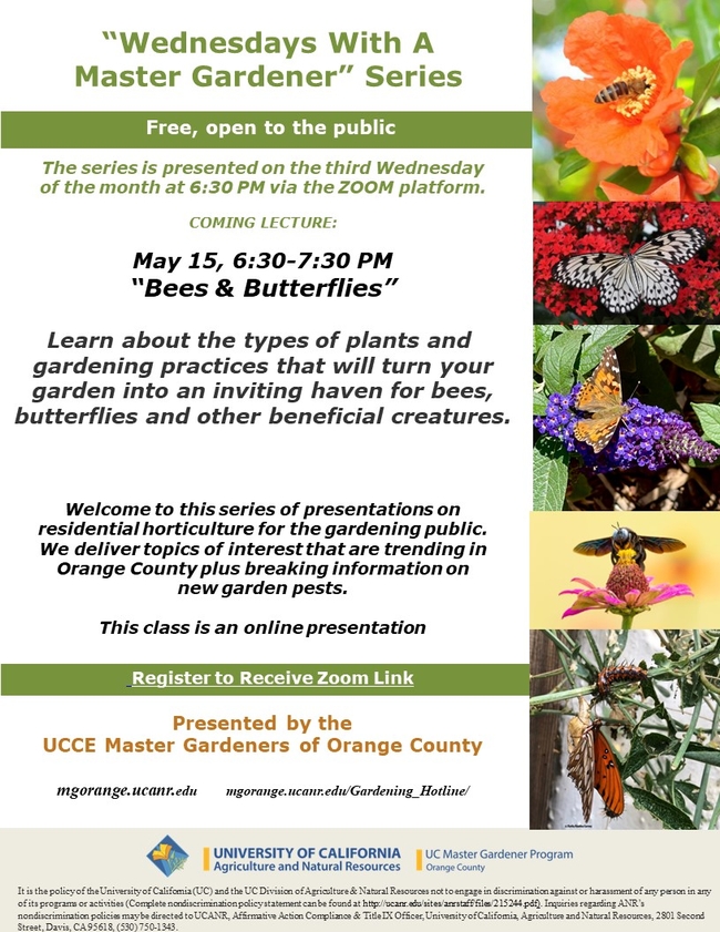 Discover the Secret to Buzzing Gardens! Free Bee & Butterfly Event - Reserve Your Spot.