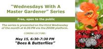 05-15-24 -Wednesdays With A MG-Bees-Butterflies for UCCE MG OC News Blog