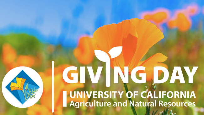 Save The Date for #Giving Day May 16-17