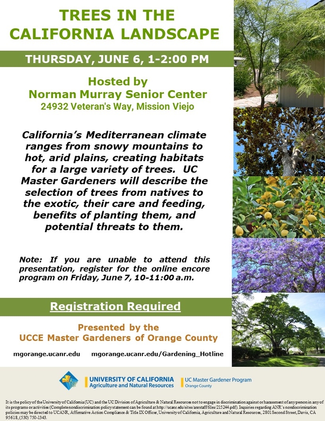 Discover the Best Trees for CA Landscapes – Join Our Expert Workshop