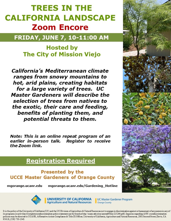 Don't Miss Our Zoom Encore: Trees in the California Landscape