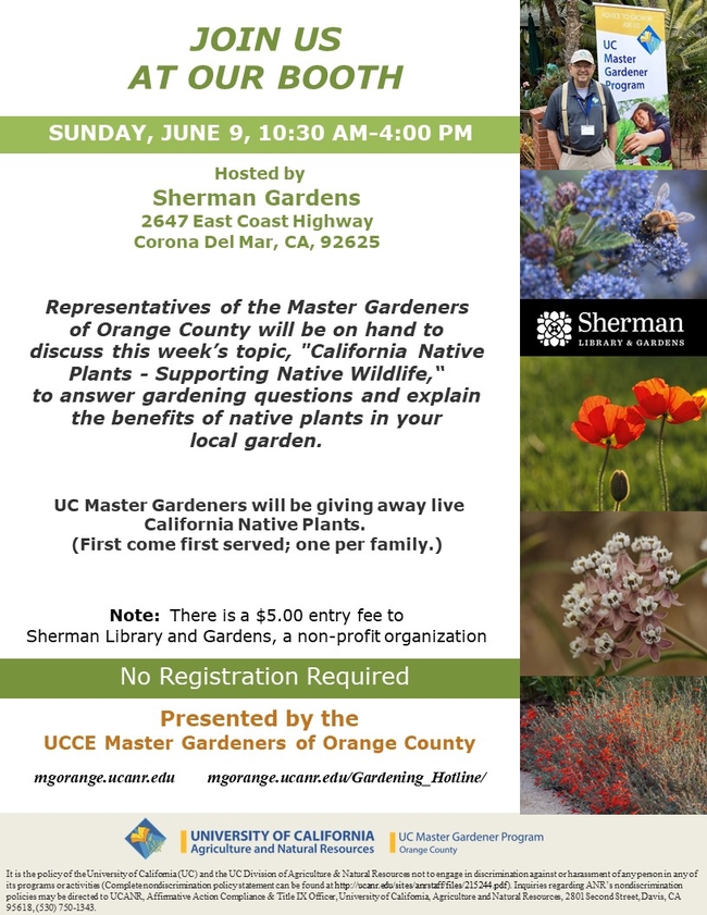 Discover the Benefits of Native Plants – Visit Our Booth!