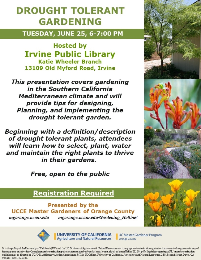 Master Drought Tolerant Gardening in SoCal – Reserve Your Spot Today