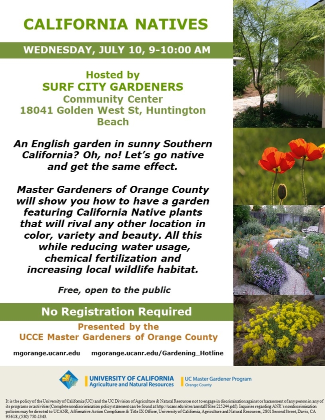 Go Native! Design a Colorful, Eco-Friendly Garden in California