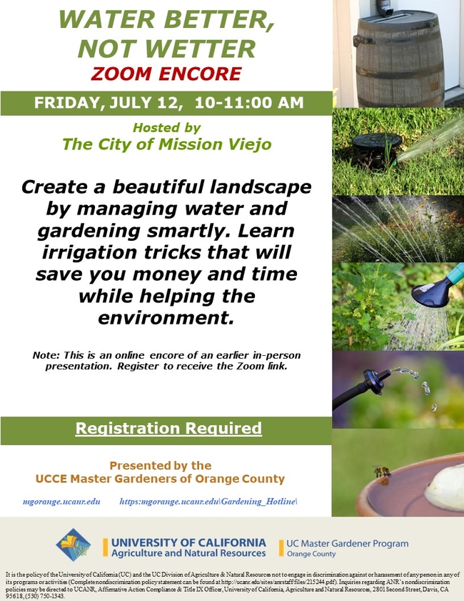Save Water, Save Money! Join Our Water-Smart Gardening Zoom Encore